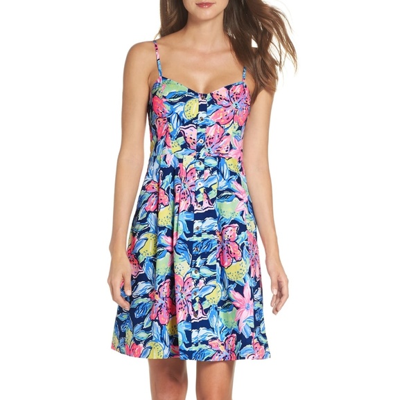 Lilly Pulitzer Dresses & Skirts - Lilly Pulitzer Easton Fit & Flare Dress